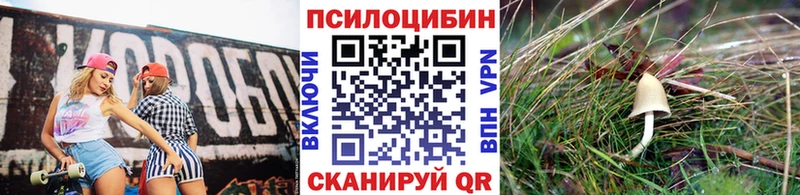 Псилоцибиновые грибы мухоморы  цены   Колпашево 